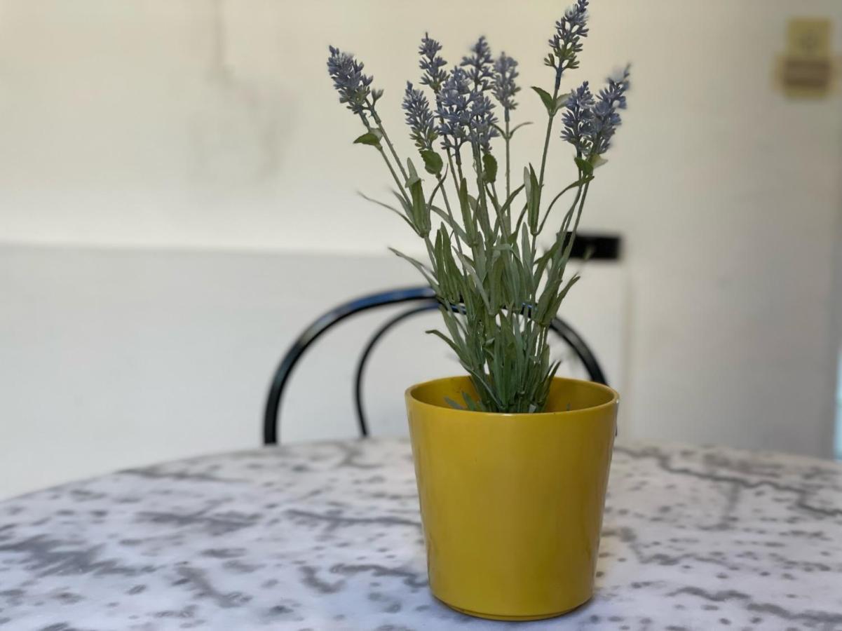 Nice Renting - Bonaparte - Luxury Loft Trendy Neighborhood - Ac - Fully Equipped מראה חיצוני תמונה